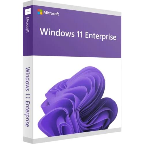 Buy Windows 11 Enterprise 64 bit license Key | buylicenza.com